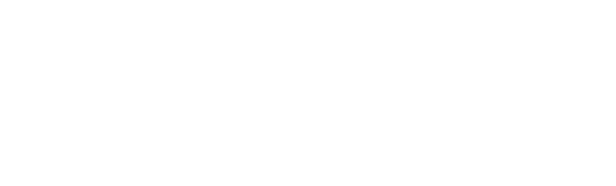 Omega Fiber logo